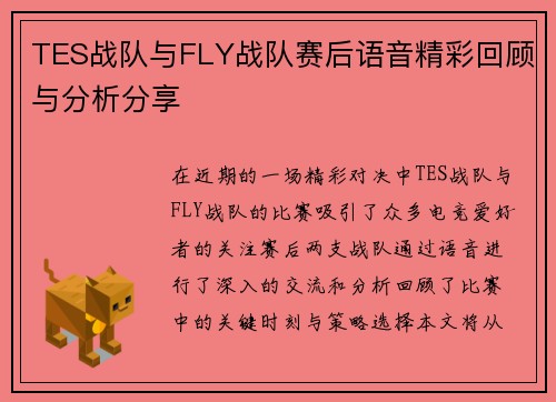 TES战队与FLY战队赛后语音精彩回顾与分析分享