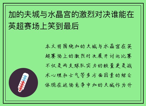 加的夫城与水晶宫的激烈对决谁能在英超赛场上笑到最后